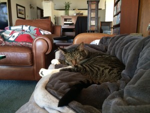 IMG_0292